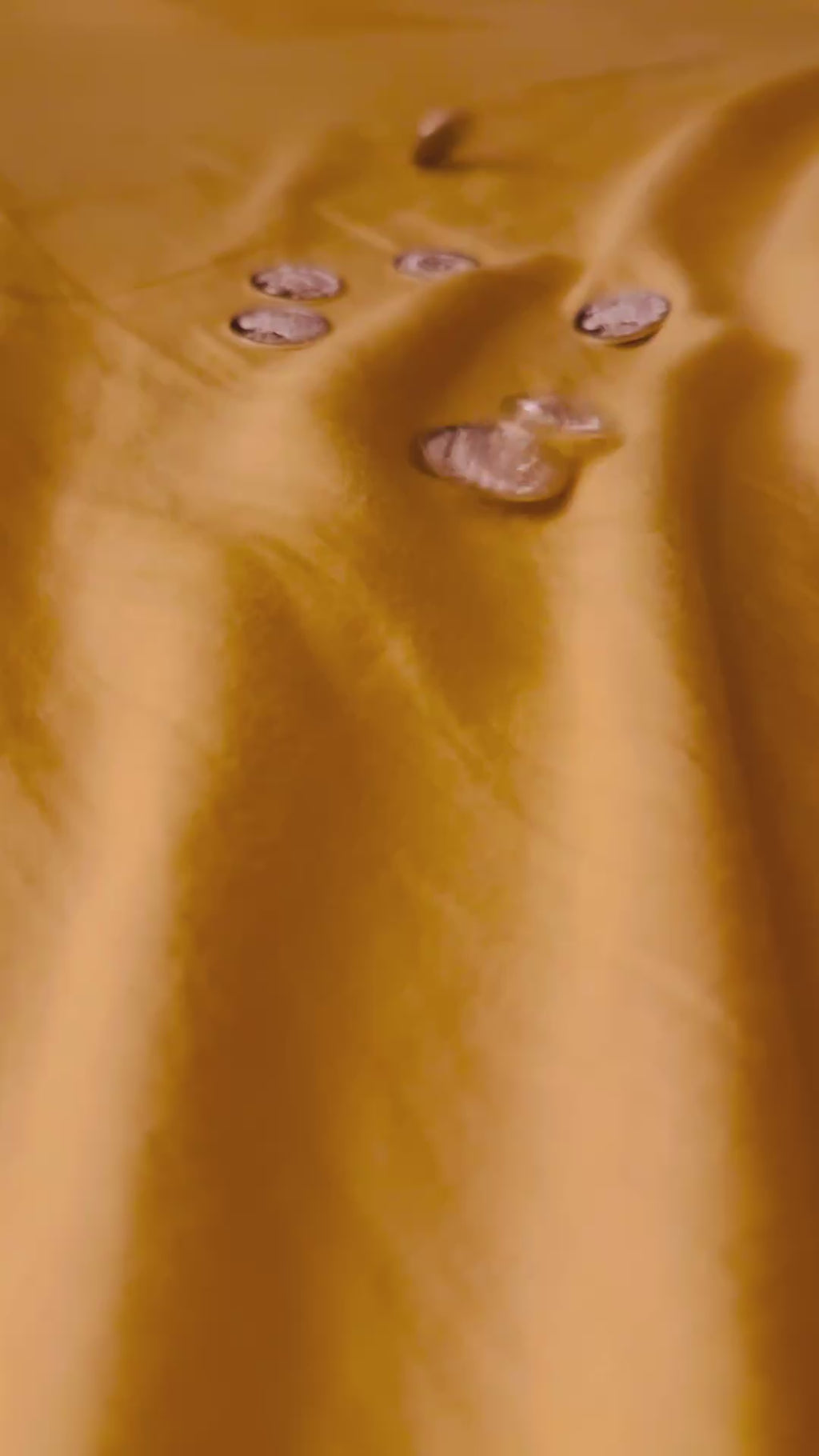 1 Gram Lakshmi Silver Coin (Pack of 2)